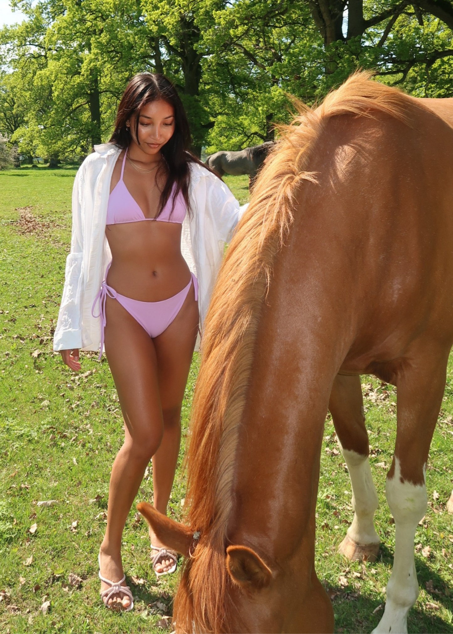 Summer photoshoot with horse while wearing swimwear